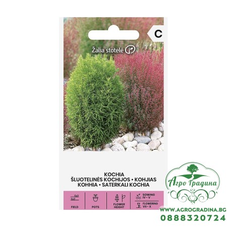 Кохия (Летен Кипарис) Kochia trichophylla Voss