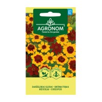 Кореопсис Микс Coreopsis tinctoria Nutt