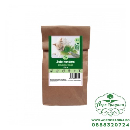 Котешка трева Hordeum vulgare - 100 гр