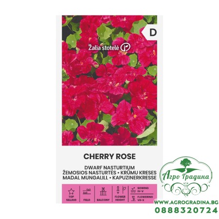 Латинка (ниска) Cherry Rose 