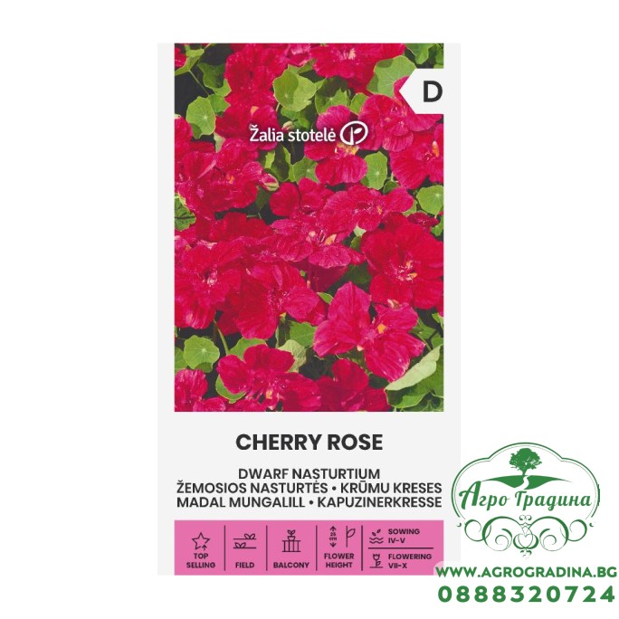 Латинка (ниска) Cherry Rose 