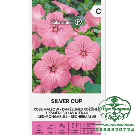 Лаватера Розова Сребърна чаша Lavatera trimestris