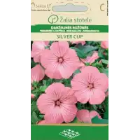 Лаватера Розова Сребърна чаша Lavatera trimestris