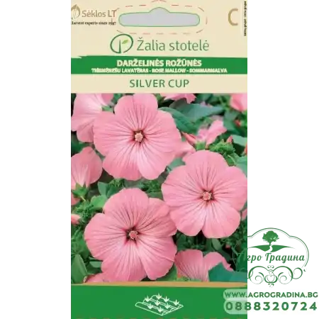 Лаватера Розова Сребърна чаша Lavatera trimestris