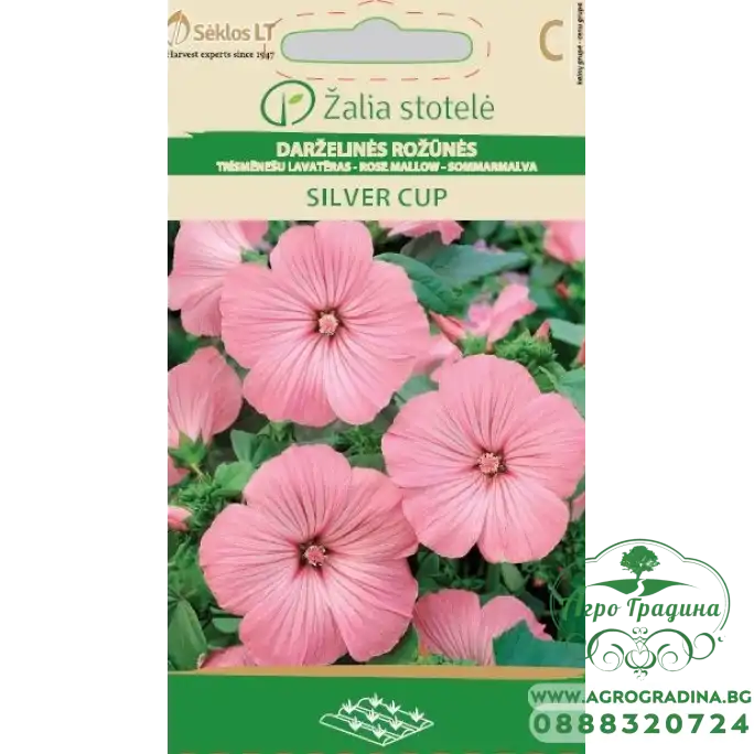 Лаватера Розова Сребърна чаша Lavatera trimestris