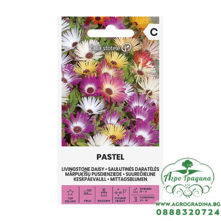 Ливингстонска Маргарита Микс Пастел / Dorotheanthus Bellidiformis Pastel