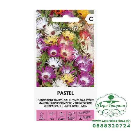 Ливингстонска Маргарита Микс Пастел Dorotheanthus Bellidiformis Pastel