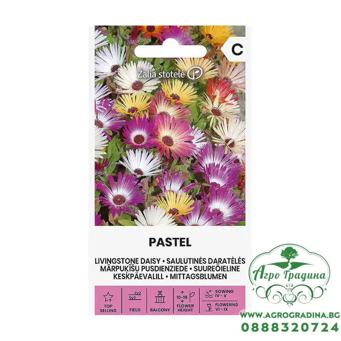 Ливингстонска Маргарита Микс Пастел / Dorotheanthus Bellidiformis Pastel