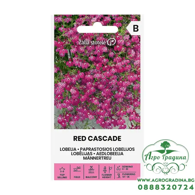 Лобелия Червена Каскадна Lobelia erinus L.
