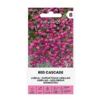 Лобелия Червена Каскадна Red cascade