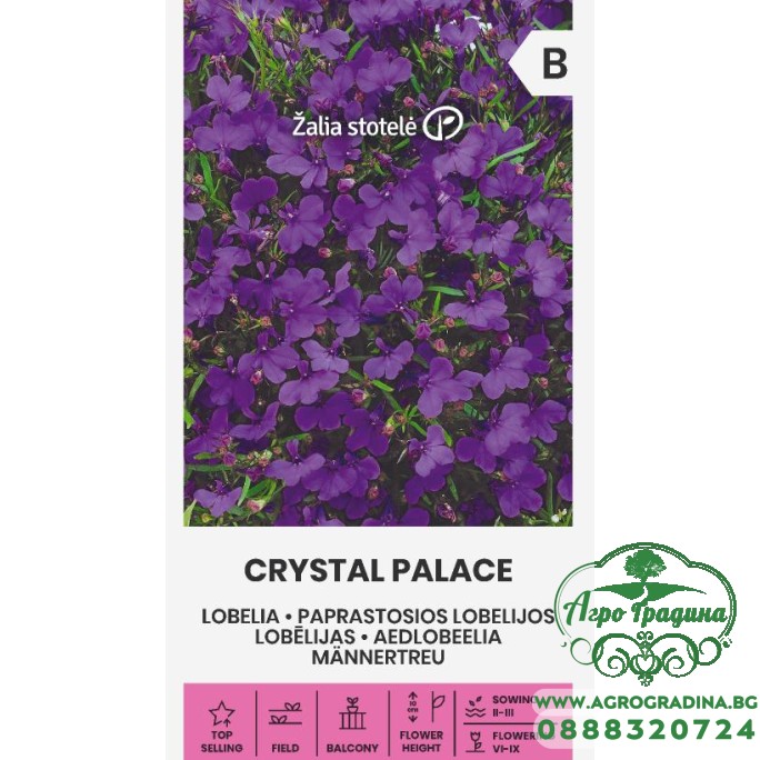 Лобелия Лилава Crystal palace Лобелия Лилава Crystal palace
