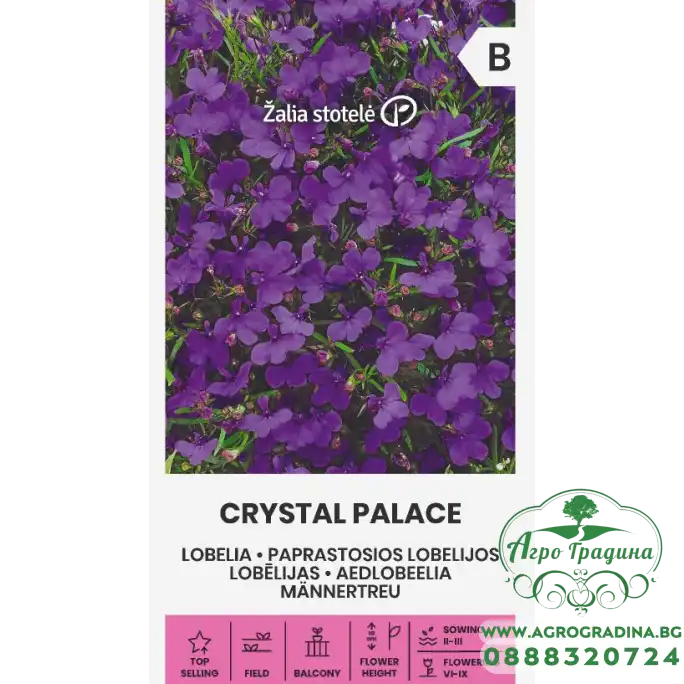 Лобелия Лилава Crystal palace