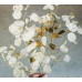 Лунария Сребърна пара Lunaria Biennis  – Саксийни и градински цветя