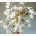 Лунария Сребърна пара Lunaria Biennis  – Саксийни и градински цветя