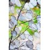 Лунария Сребърна пара Lunaria Biennis  – Саксийни и градински цветя