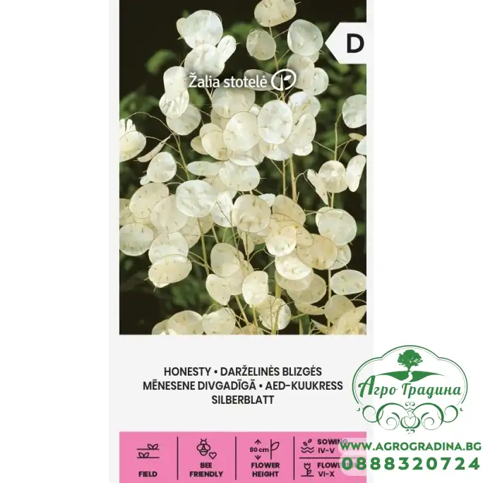 Лунария Сребърна пара Lunaria Biennis 