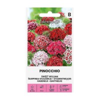 Карамфил Mикс Пинокио Pinocchio