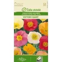 Мак Исландски Виктори Гигант Микс Papaver nudicaule