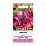 Мак Пандора Papaver rhoeas