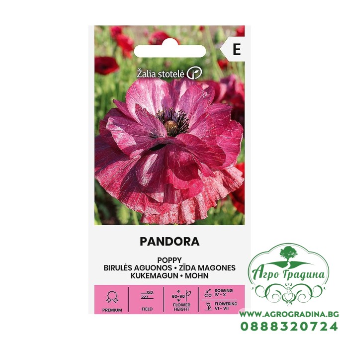 Мак Пандора Papaver rhoeas