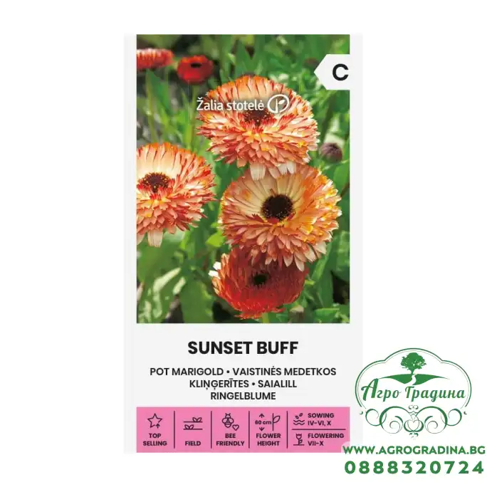 Медицински Невен Sunset Buff Медицински Невен Sunset Buff
