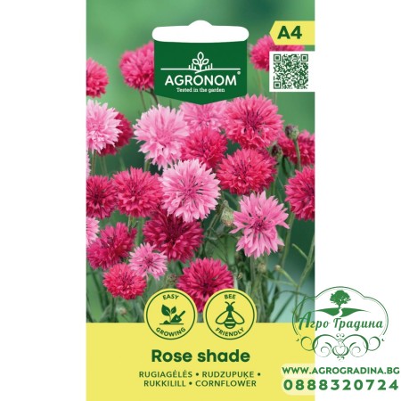 Метличина Розова Rose Shade