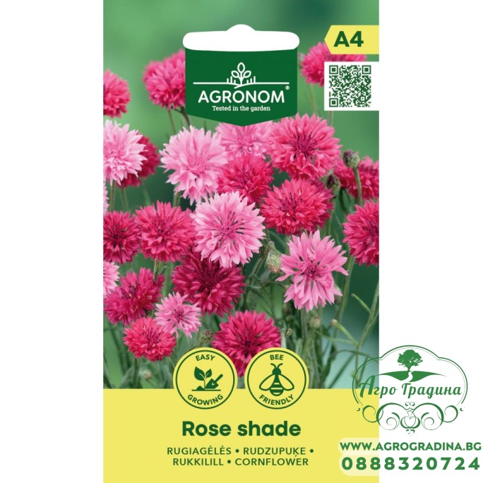Метличина Розова Rose Shade