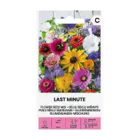 Цветен Микс В Последната Минута Last Minute