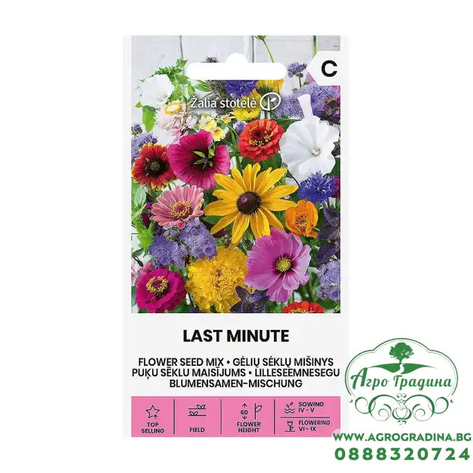 Цветен Микс В Последната Минута Last Minute Цветен Микс В Последната Минута Last Minute