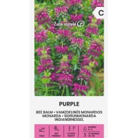 Монарда Лилава (ПЧЕЛЕН БАЛСАМ) Monarda fistulosa