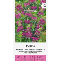 Монарда Лилава (ПЧЕЛЕН БАЛСАМ) Monarda fistulosa