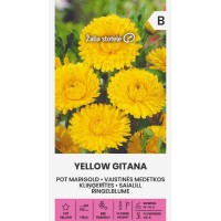 Невен Жълт Гитана Calendula officinalis