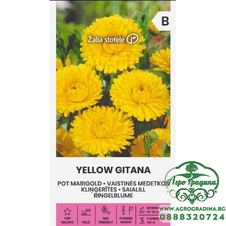 Невен Жълт Гитана Calendula officinalis