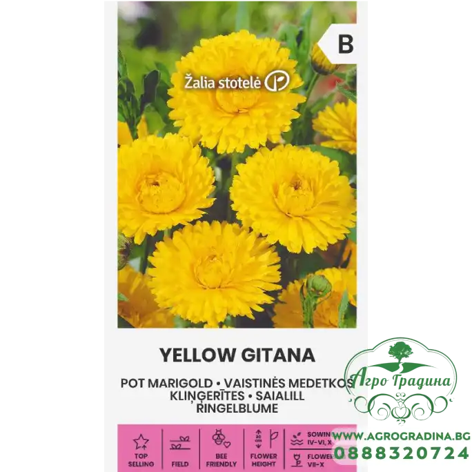 Невен Жълт Гитана Calendula officinalis Невен Жълт Гитана Calendula officinalis