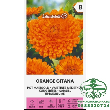 Невен Оранжев Гитана Calendula officinalis