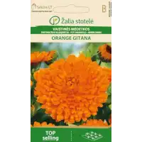 Невен Оранжев Гитана Calendula officinalis