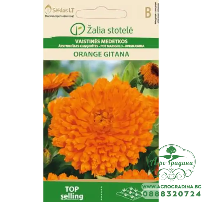 Невен Оранжев Гитана Calendula officinalis