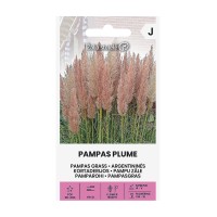 Пампаска трева Розова / Cortaderia selloana Pampas plume