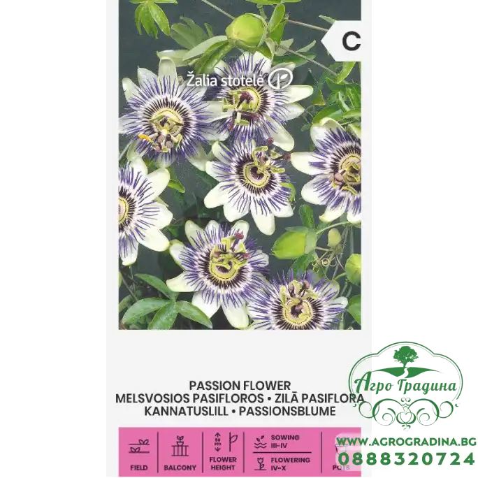 Пасифлора Passiflora caerulea
