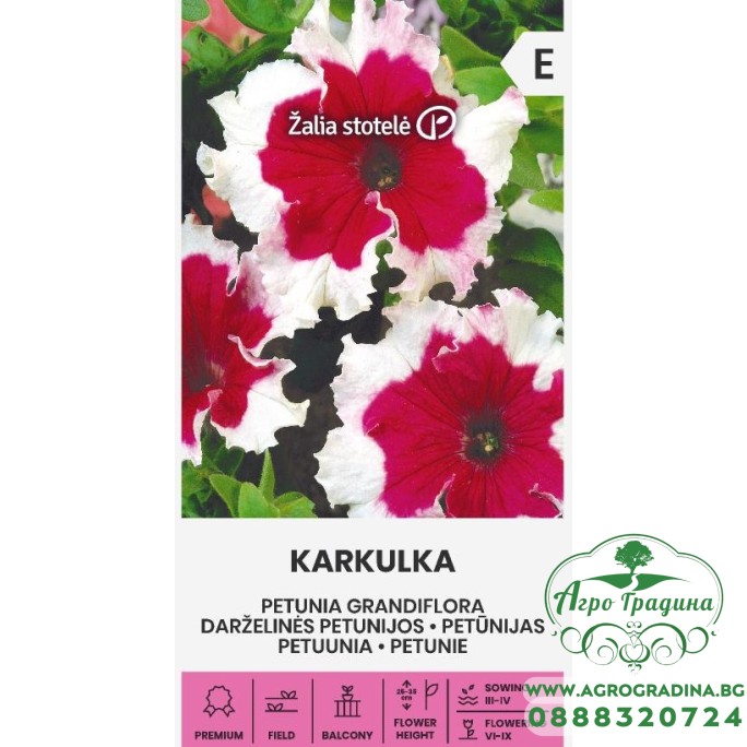 Едроцветна Петуния Каркул Petunia grandiflora Karkulka Едроцветна Петуния Каркул Petunia grandiflora Karkulka