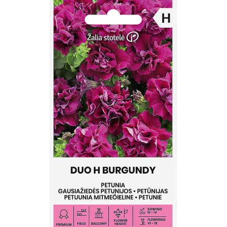 Петуния кичеста Дуо бордо / Petunia double dou Burgundy