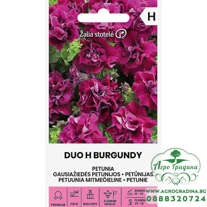 Петуния Двойна Бордо Petunia hybrida