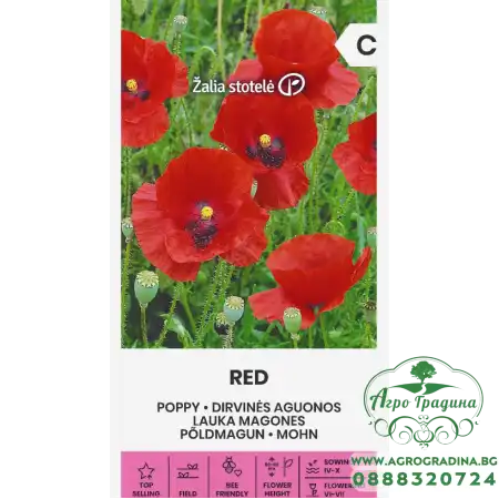 Мак Червен Papaver dubium