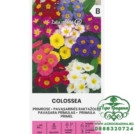 Иглика (Примула) Микс Рrimula veris