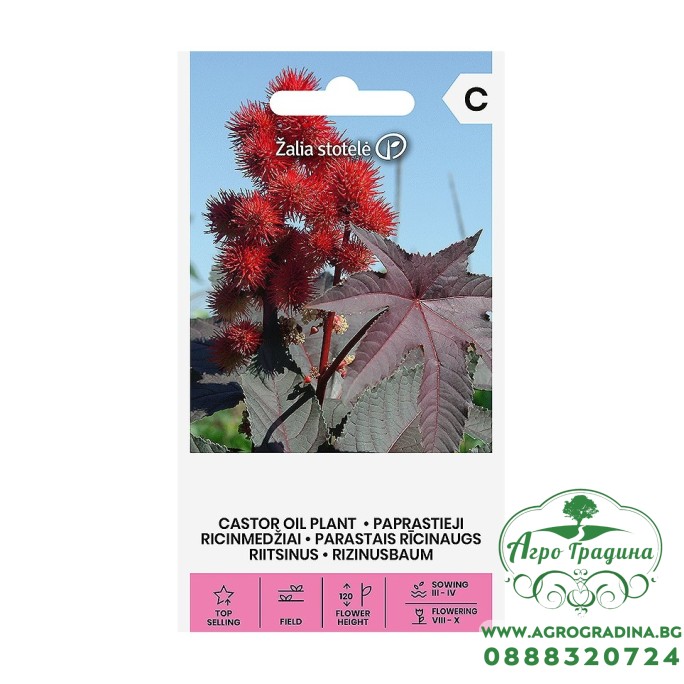 Рицин Ricinus communis L Рицин Ricinus communis L