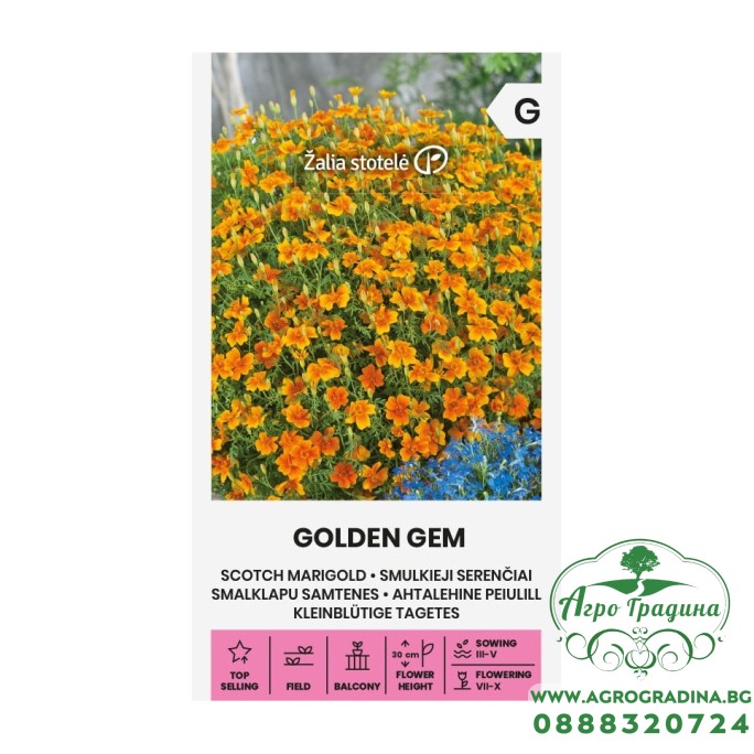Тагетес Златен Tagetes tenuifolia Golden Gem