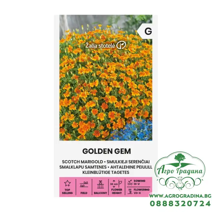 Тагетес Златен Tagetes tenuifolia Golden Gem – Саксийни и градински цветя