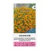 Тагетес Златен Tagetes tenuifolia Golden Gem – Саксийни и градински цветя