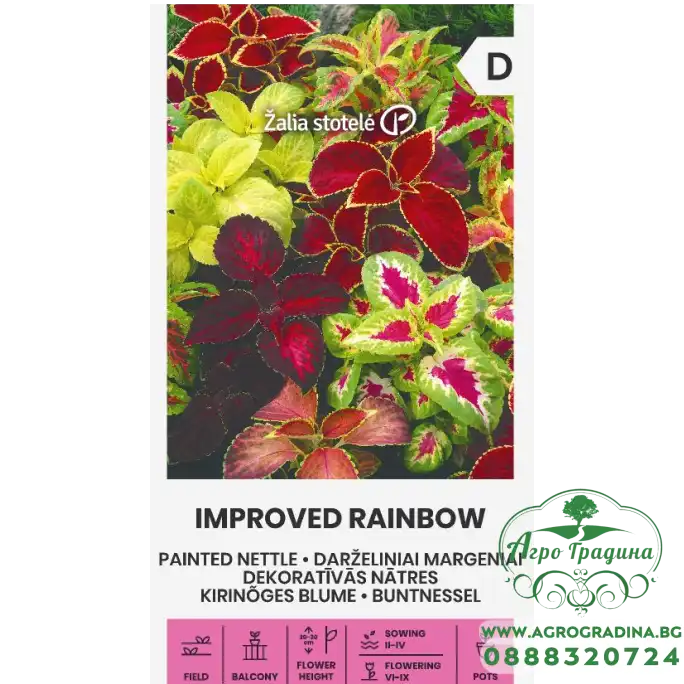 Копривка Микс Coleus Blumei Benth