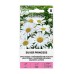 Голяма Маргаритка Сребърна принцеса Leucanthemum maximum